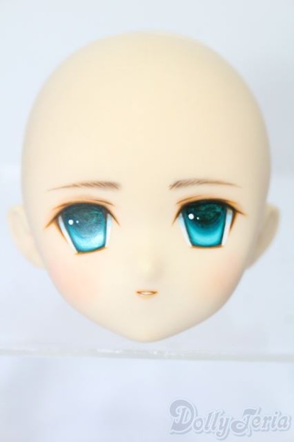 画像1: PARABOX/PB-6006Bヘッドのみ S-25-11-30-428-TO-ZS (1)