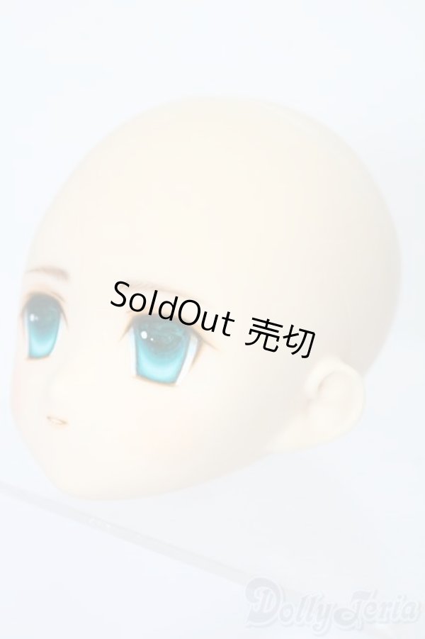 画像2: PARABOX/PB-6006Bヘッドのみ S-25-11-30-428-TO-ZS (2)