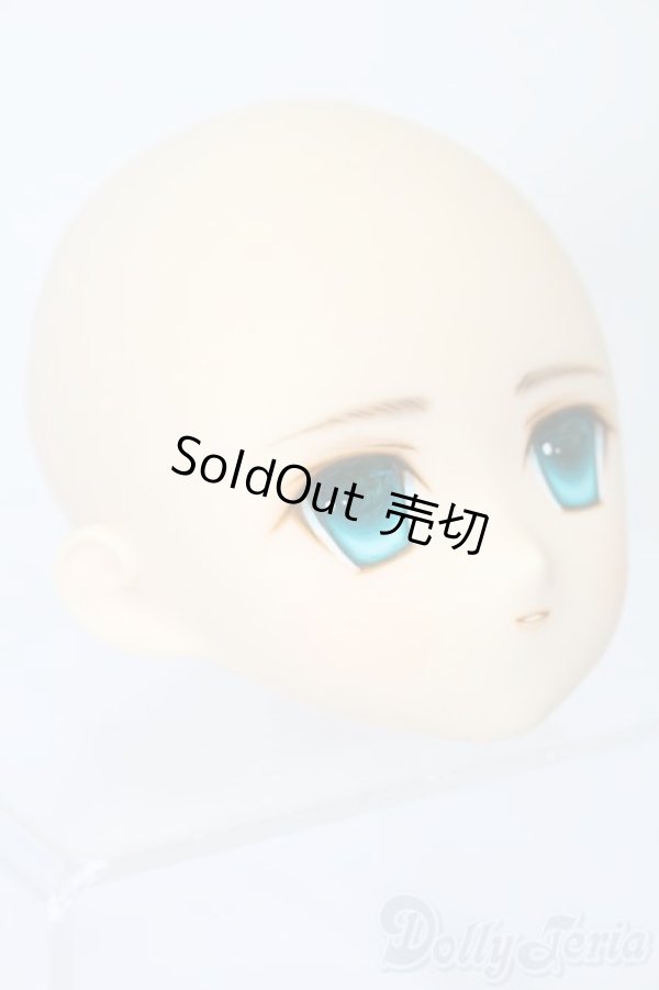 画像3: PARABOX/PB-6006Bヘッドのみ S-25-11-30-428-TO-ZS (3)