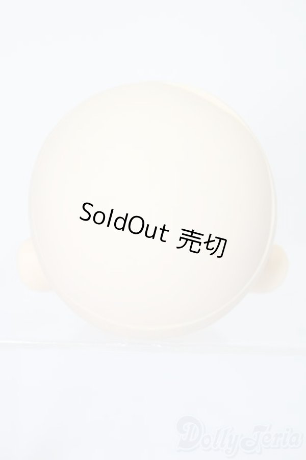 画像4: PARABOX/PB-6006Bヘッドのみ S-25-11-30-428-TO-ZS (4)