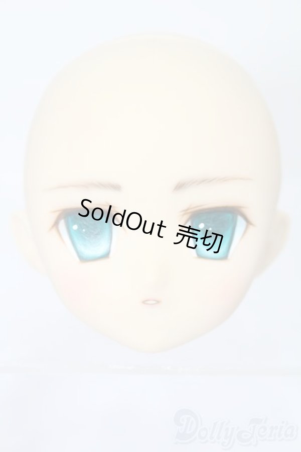 画像1: PARABOX/PB-6006Bヘッドのみ S-25-11-30-429-TO-ZS (1)