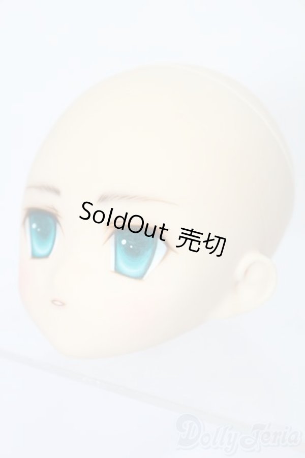 画像2: PARABOX/PB-6006Bヘッドのみ S-25-11-30-429-TO-ZS (2)