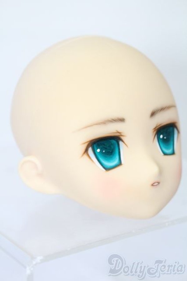 画像3: PARABOX/PB-6006Bヘッドのみ S-25-11-30-429-TO-ZS (3)