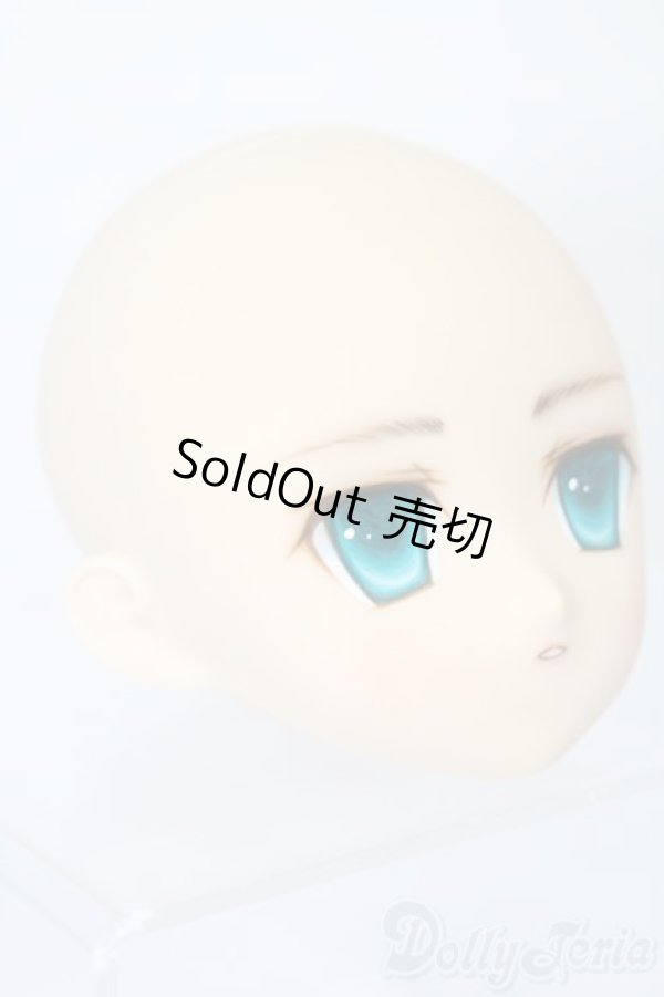 画像3: PARABOX/PB-6006Bヘッドのみ S-25-11-30-429-TO-ZS (3)