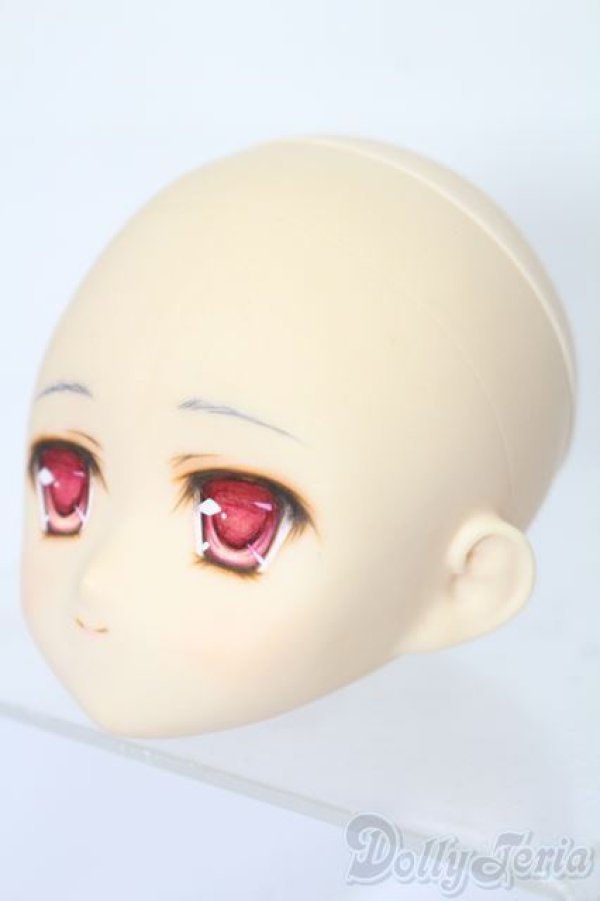 画像2: PARABOX/PB-6006Bヘッドのみ S-25-11-30-444-TO-ZS (2)