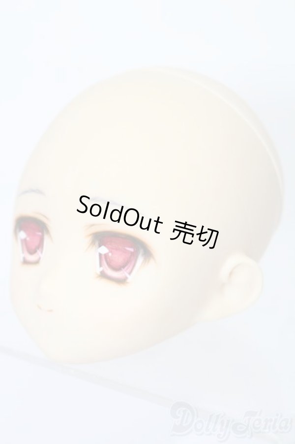 画像2: PARABOX/PB-6006Bヘッドのみ S-25-11-30-444-TO-ZS (2)