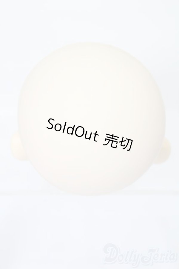 画像4: PARABOX/PB-6006Bヘッドのみ S-25-11-30-444-TO-ZS (4)