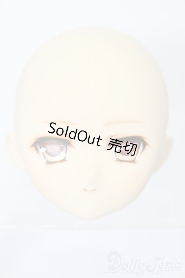 画像1: PARABOX/PB-6006Bヘッドのみ S-26-01-25-383-TO-ZS (1)