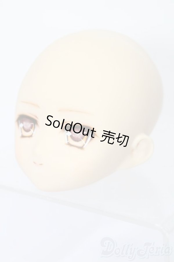 画像2: PARABOX/PB-6006Bヘッドのみ S-26-01-25-383-TO-ZS (2)