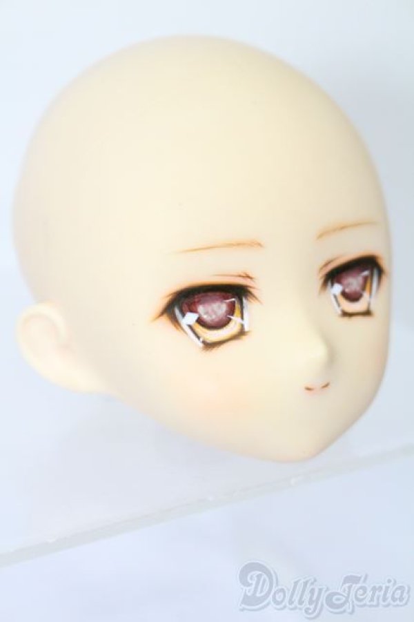 画像3: PARABOX/PB-6006Bヘッドのみ S-25-11-30-433-TO-ZS (3)