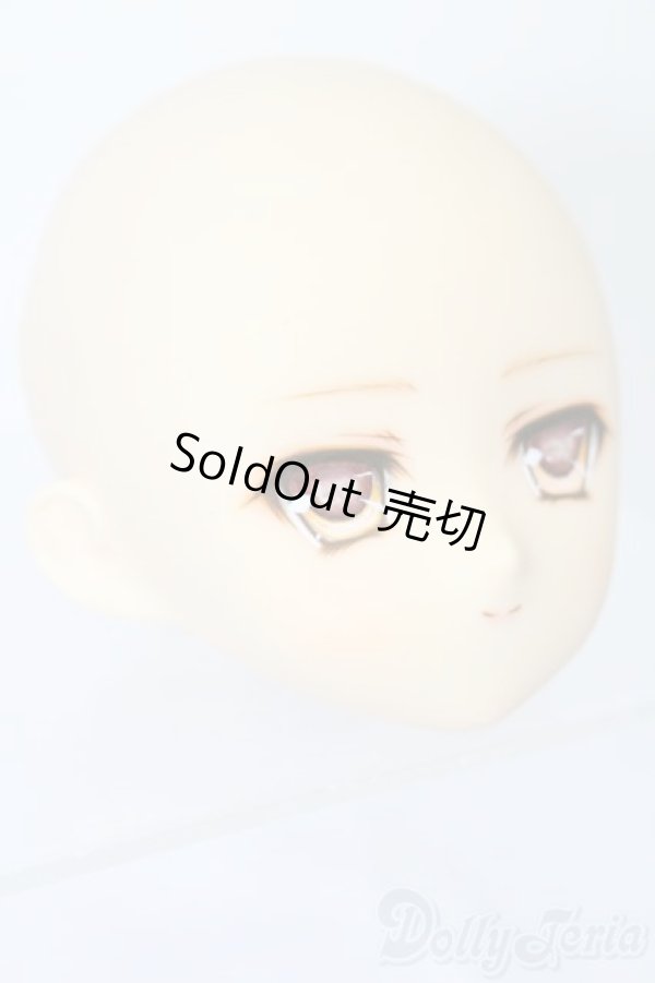 画像3: PARABOX/PB-6006Bヘッドのみ S-26-01-25-383-TO-ZS (3)