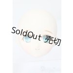 画像: PARABOX/PB-6006Bヘッドのみ S-25-11-30-440-TO-ZS