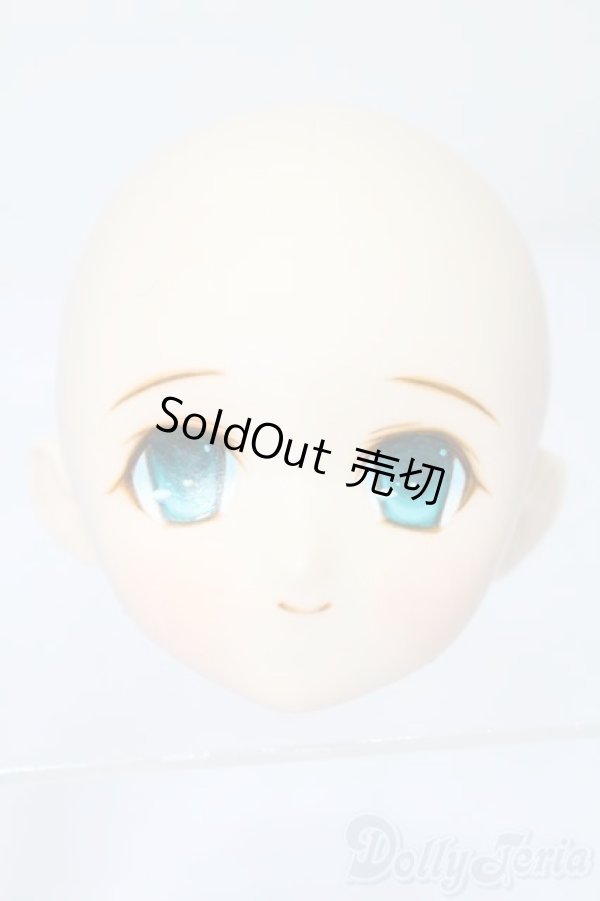 画像1: PARABOX/PB-6006Bヘッドのみ S-25-11-30-440-TO-ZS (1)