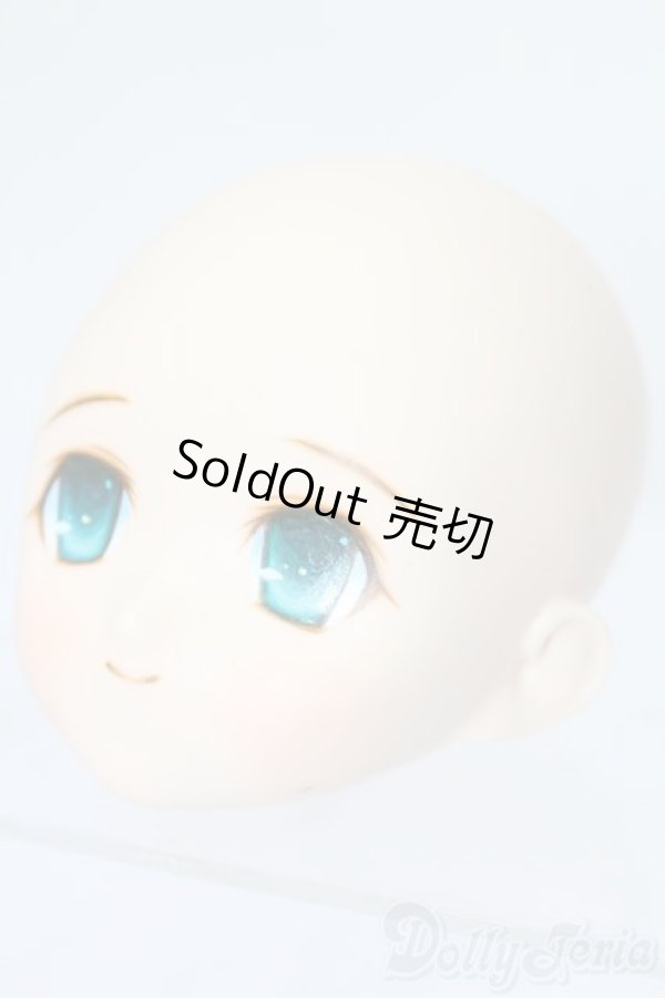 画像2: PARABOX/PB-6006Bヘッドのみ S-25-11-30-440-TO-ZS (2)