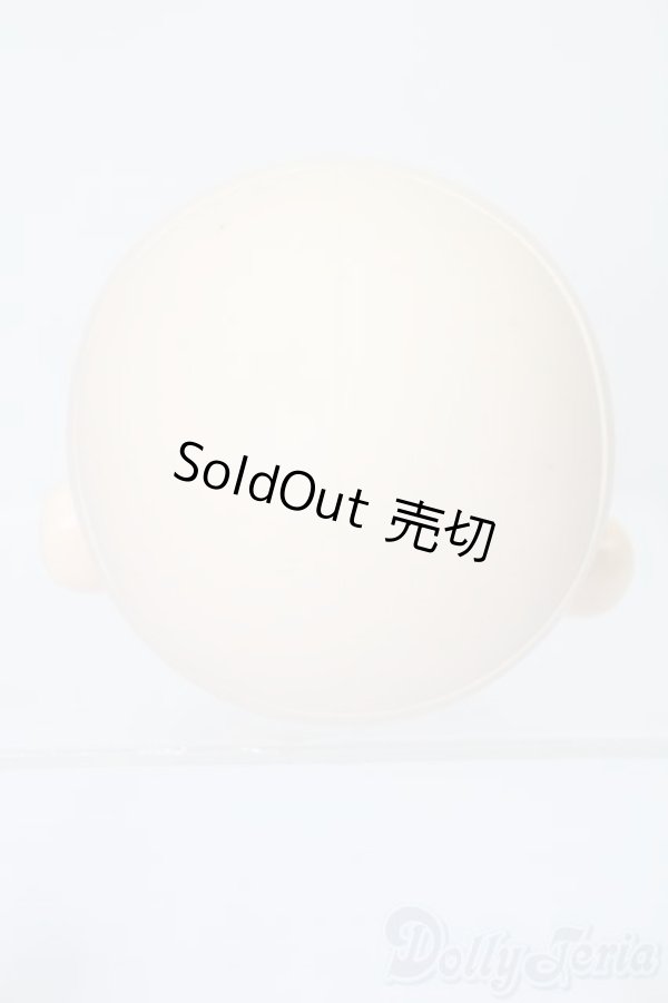 画像4: PARABOX/PB-6006Bヘッドのみ S-25-11-30-440-TO-ZS (4)