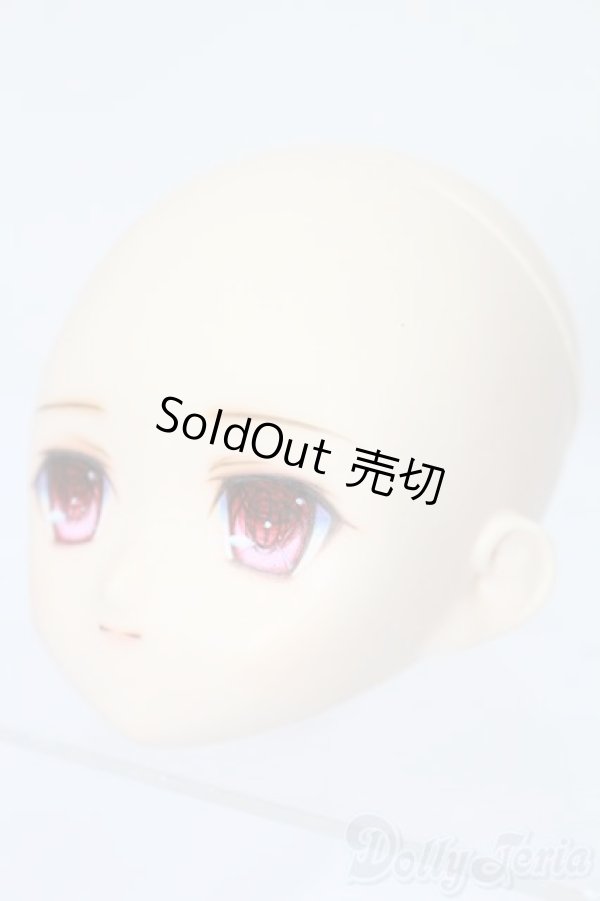 画像2: PARABOX/PB-6006Bヘッドのみ S-25-11-30-432-TO-ZS (2)