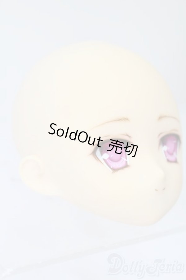 画像3: PARABOX/PB-6006Bヘッドのみ S-25-11-30-437-TO-ZS (3)