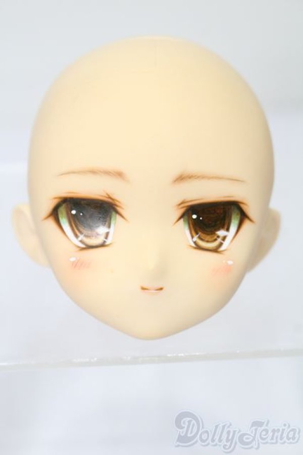 画像1: PARABOX/PB-6006Bヘッドのみ S-25-11-30-441-TO-ZS (1)