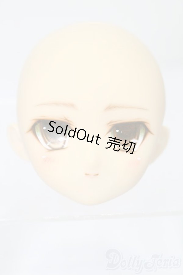 画像1: PARABOX/PB-6006Bヘッドのみ S-25-11-30-441-TO-ZS (1)