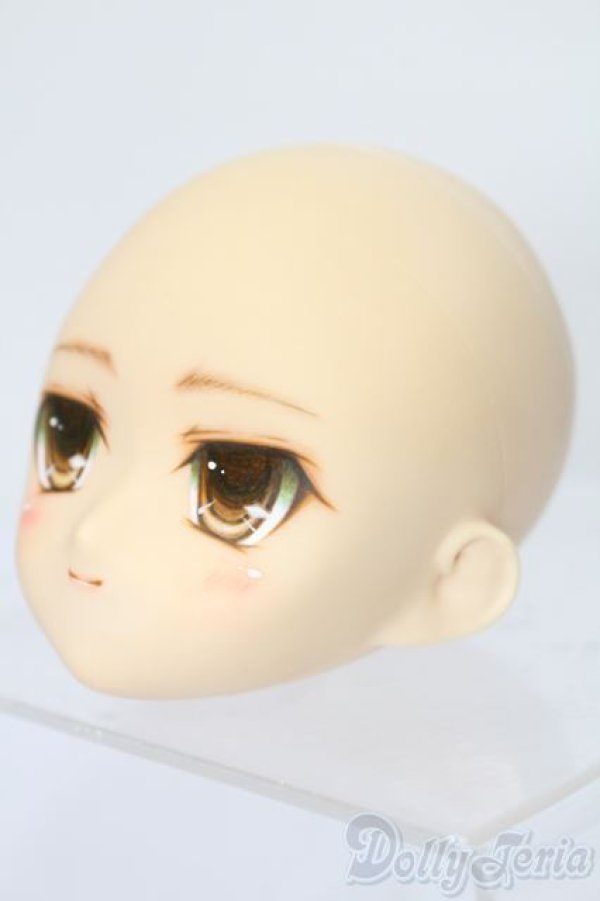 画像2: PARABOX/PB-6006Bヘッドのみ S-25-11-30-441-TO-ZS (2)