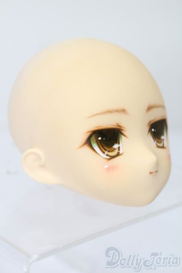 画像3: PARABOX/PB-6006Bヘッドのみ S-25-11-30-441-TO-ZS (3)