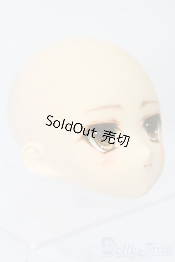 画像3: PARABOX/PB-6006Bヘッドのみ S-25-11-30-441-TO-ZS (3)