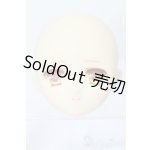 画像: PARABOX/PB-6006Bヘッドのみ S-25-11-30-431-TO-ZS