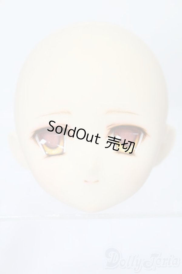 画像1: PARABOX/PB-6006Bヘッドのみ S-25-11-30-431-TO-ZS (1)