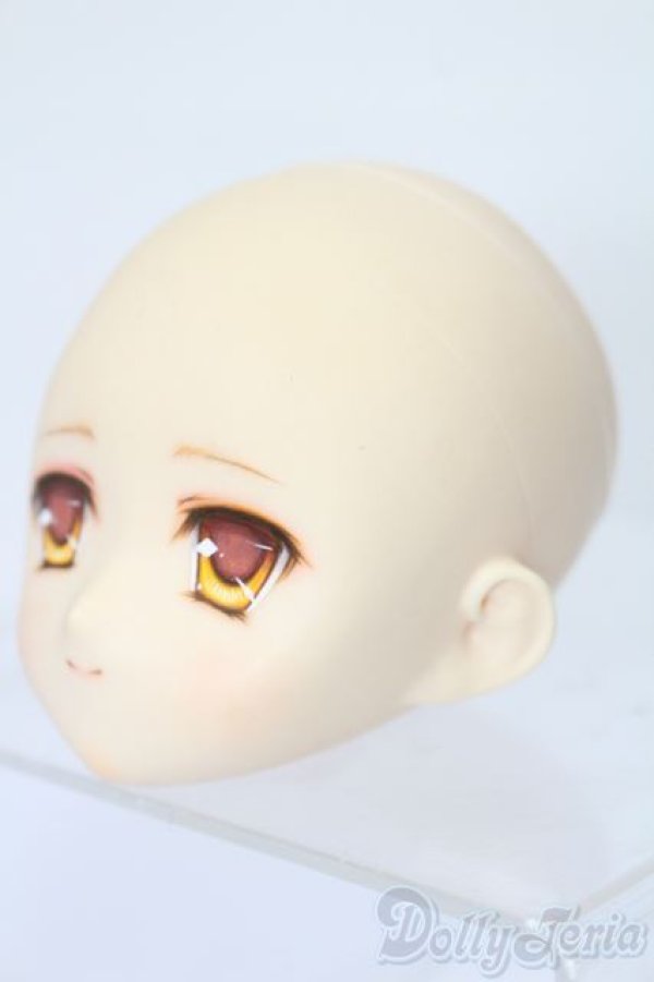 画像2: PARABOX/PB-6006Bヘッドのみ S-25-11-30-431-TO-ZS (2)