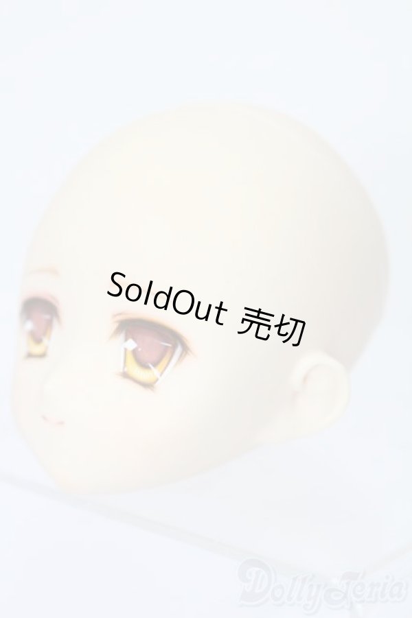 画像2: PARABOX/PB-6006Bヘッドのみ S-25-11-30-431-TO-ZS (2)