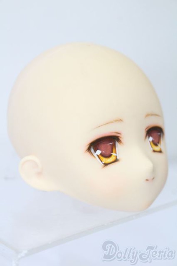 画像3: PARABOX/PB-6006Bヘッドのみ S-25-11-30-431-TO-ZS (3)