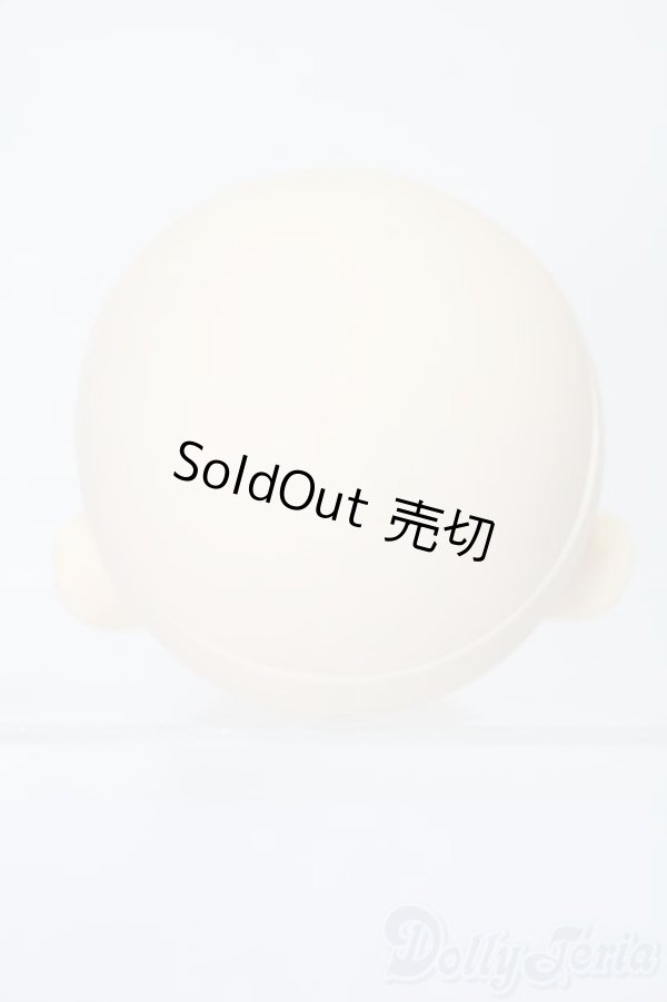 画像4: PARABOX/PB-6006Bヘッドのみ S-25-11-30-431-TO-ZS (4)