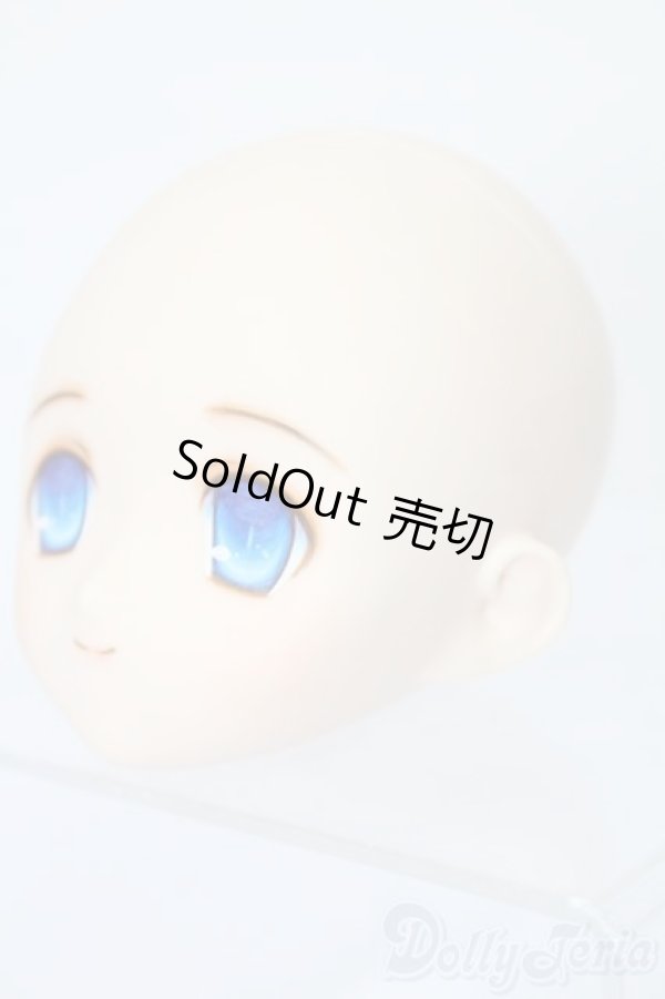 画像2: PARABOX/PB-6006Bヘッドのみ S-25-11-30-443-TO-ZS (2)