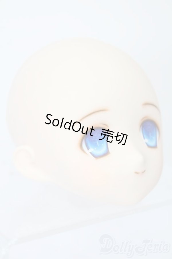 画像3: PARABOX/PB-6006Bヘッドのみ S-25-11-30-443-TO-ZS (3)