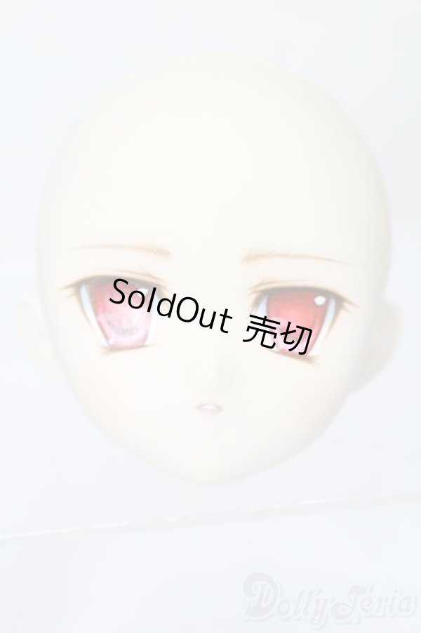 画像1: PARABOX/PB-6006Bヘッドのみ S-25-11-30-442-TO-ZS (1)