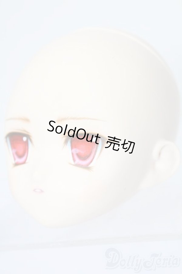 画像2: PARABOX/PB-6006Bヘッドのみ S-25-11-30-442-TO-ZS (2)