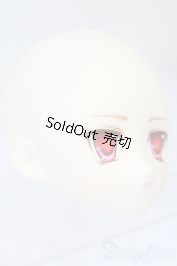 画像3: PARABOX/PB-6006Bヘッドのみ S-25-11-30-442-TO-ZS (3)