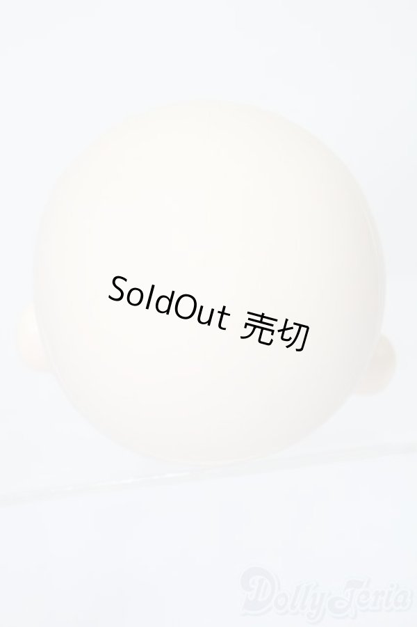 画像4: PARABOX/PB-6006Bヘッドのみ S-25-11-30-442-TO-ZS (4)