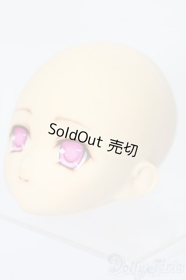 画像2: PARABOX/PB-6006Bヘッドのみ S-25-11-30-434-TO-ZS (2)