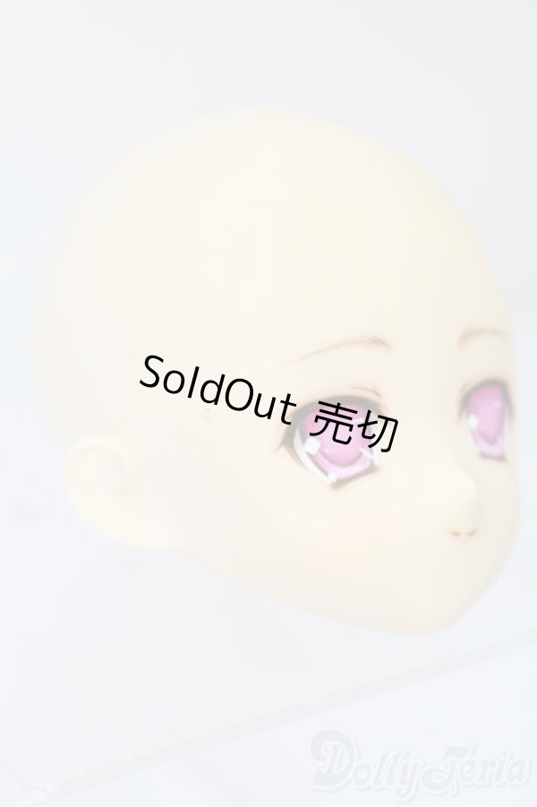 画像3: PARABOX/PB-6006Bヘッドのみ S-25-11-30-434-TO-ZS (3)