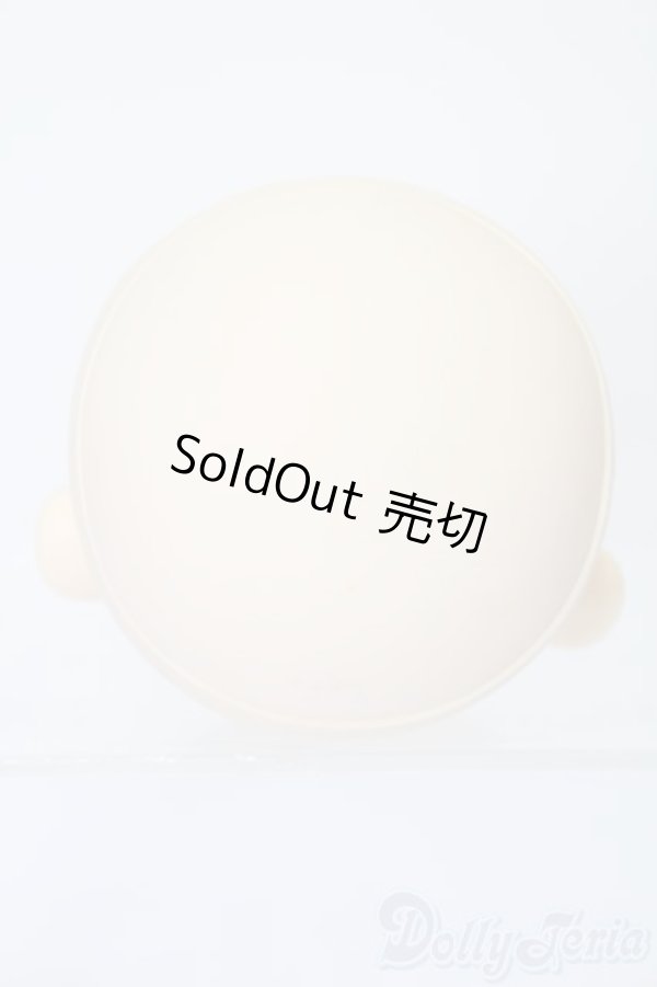 画像4: PARABOX/PB-6006Bヘッドのみ S-25-11-30-434-TO-ZS (4)