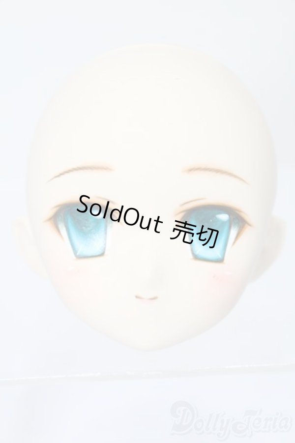 画像1: PARABOX/PB-6006Bヘッドのみ S-25-11-30-439-TO-ZS (1)