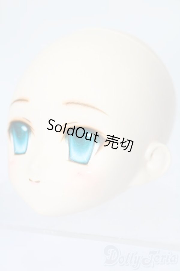 画像2: PARABOX/PB-6006Bヘッドのみ S-25-11-30-439-TO-ZS (2)