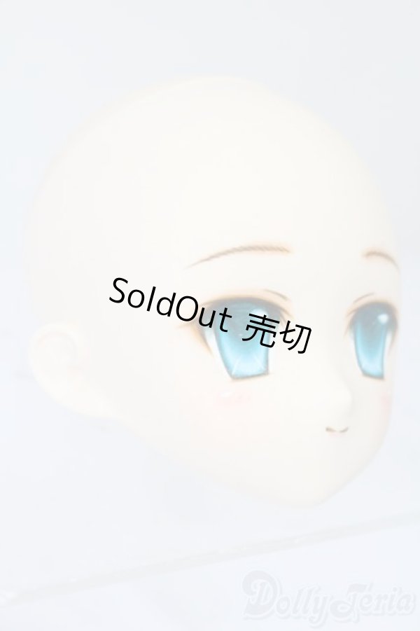 画像3: PARABOX/PB-6006Bヘッドのみ S-25-11-30-439-TO-ZS (3)