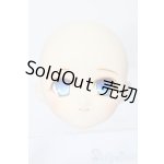 画像: PARABOX/PB-6006Bヘッドのみ S-25-11-30-445-TO-ZS