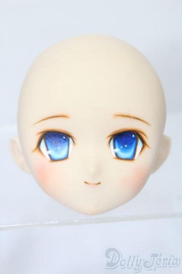 画像1: PARABOX/PB-6006Bヘッドのみ S-25-11-30-445-TO-ZS (1)