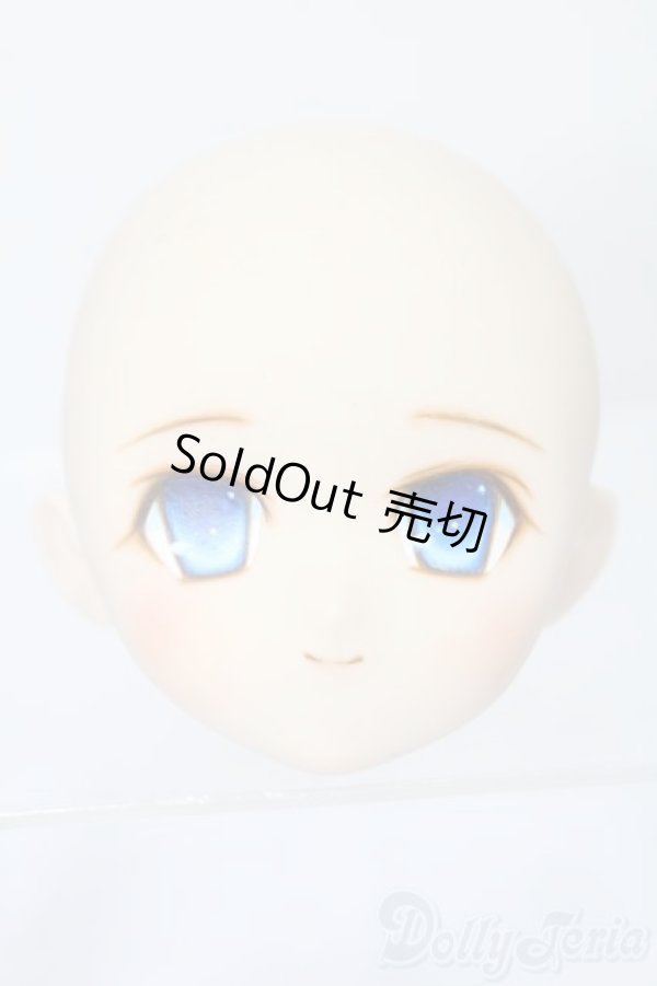 画像1: PARABOX/PB-6006Bヘッドのみ S-25-11-30-445-TO-ZS (1)