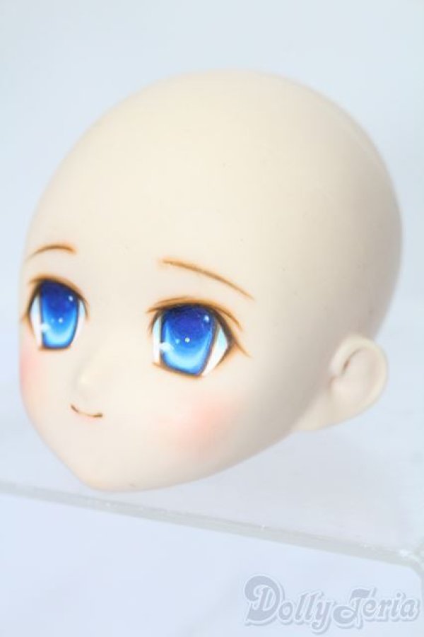 画像2: PARABOX/PB-6006Bヘッドのみ S-25-11-30-445-TO-ZS (2)