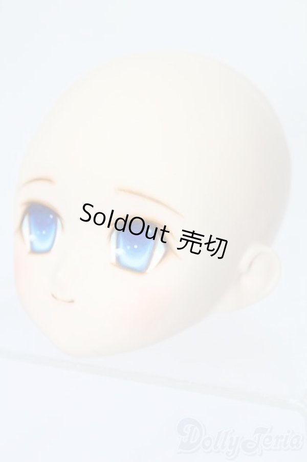 画像2: PARABOX/PB-6006Bヘッドのみ S-25-11-30-445-TO-ZS (2)