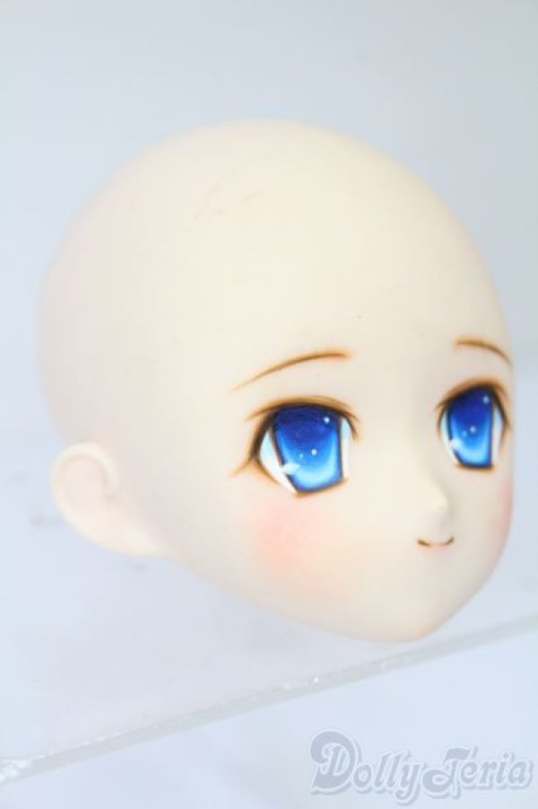 画像3: PARABOX/PB-6006Bヘッドのみ S-25-11-30-445-TO-ZS (3)